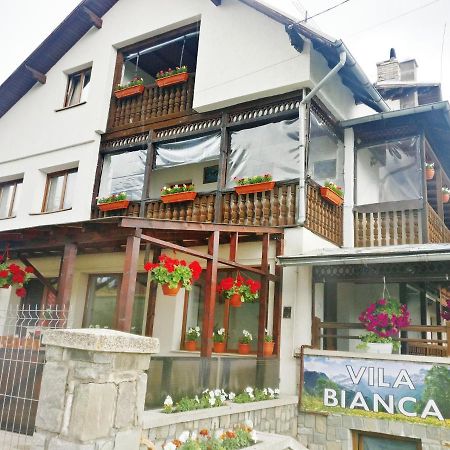 Bianca House Hotel Busteni Bagian luar foto