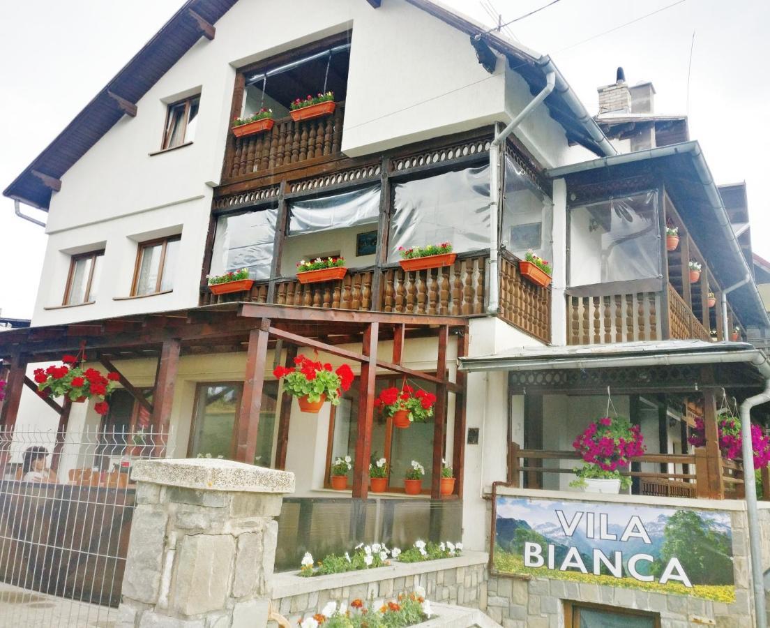 Bianca House Hotel Busteni Bagian luar foto
