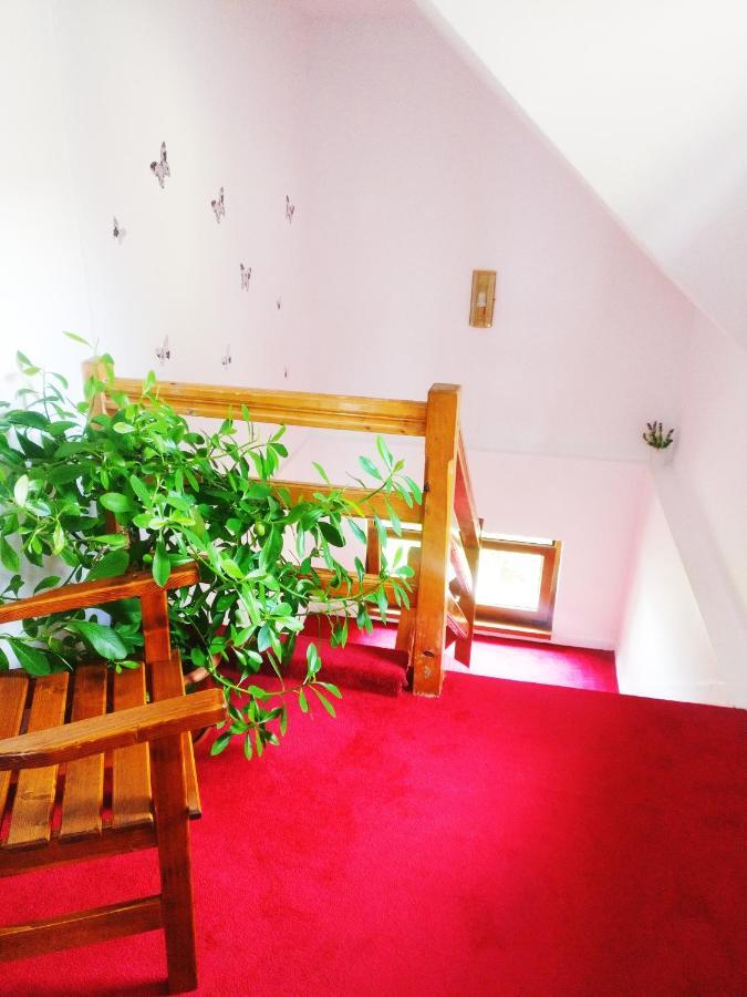 Bianca House Hotel Busteni Bagian luar foto