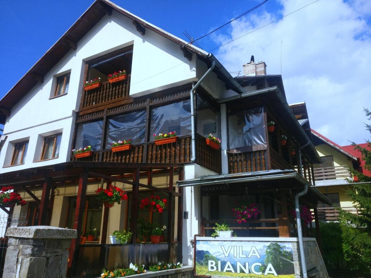 Bianca House Hotel Busteni Bagian luar foto